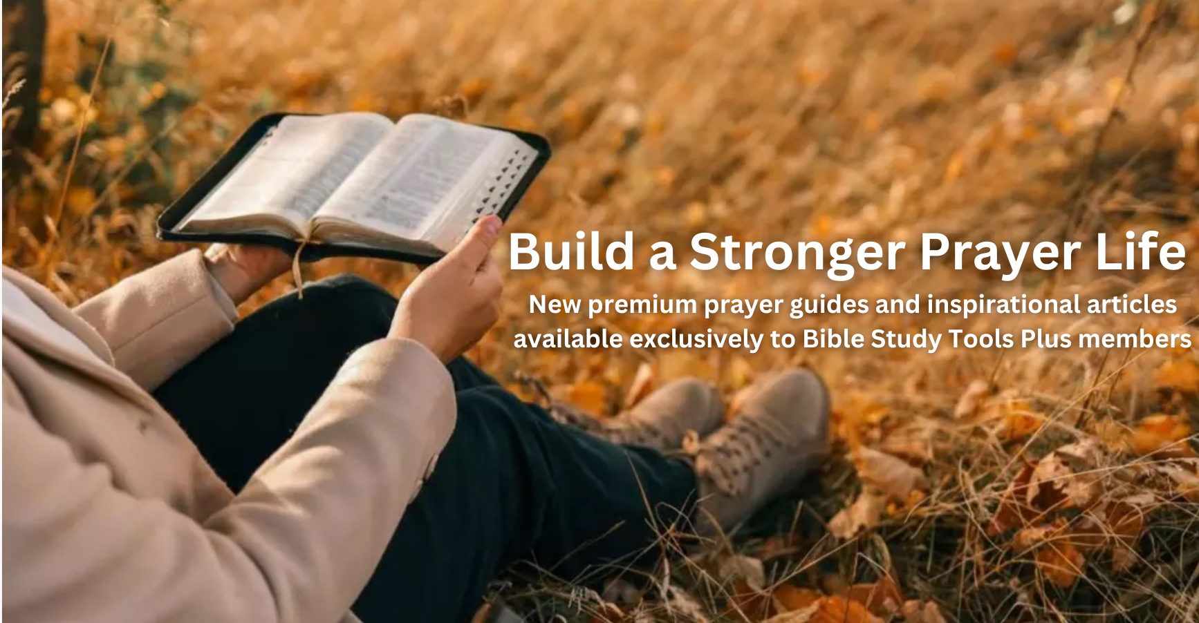 Join Bible Study Tools PLUS! Join Bible Study Tools PLUS!
