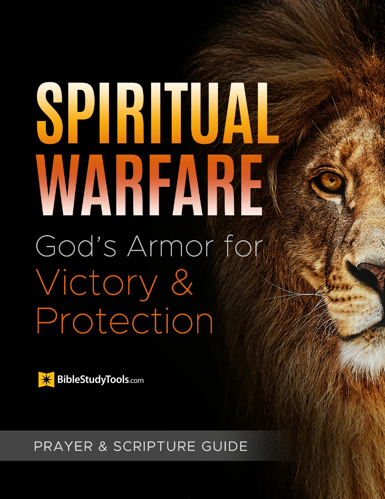 Spiritual Warfare: God's Armor for Victory & Protection Spiritual Warfare: God's Armor for Victory & Protection